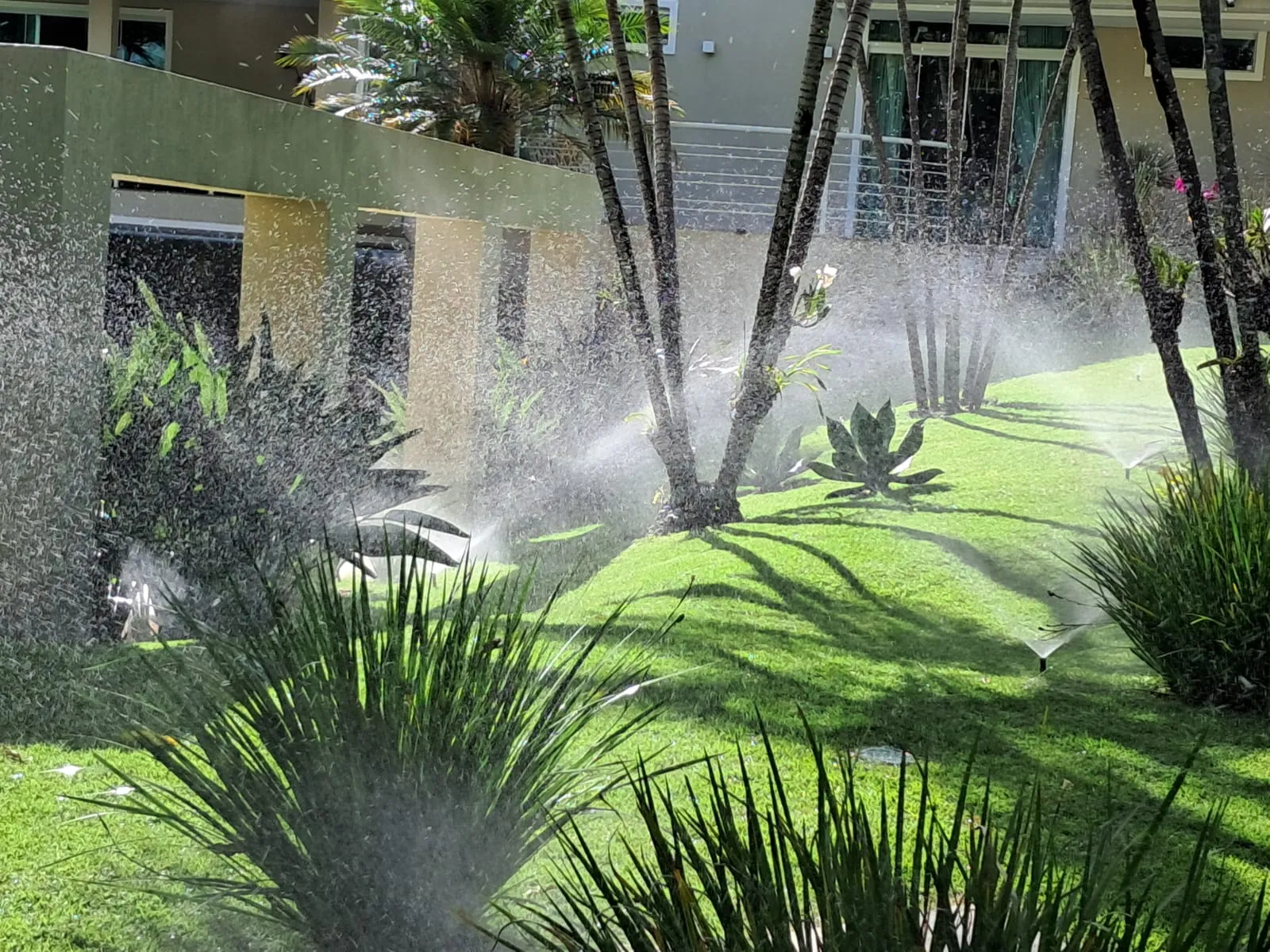 Jardim residencial com aspersores irrigando a grama por setor